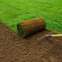Устройство рулонного газона
